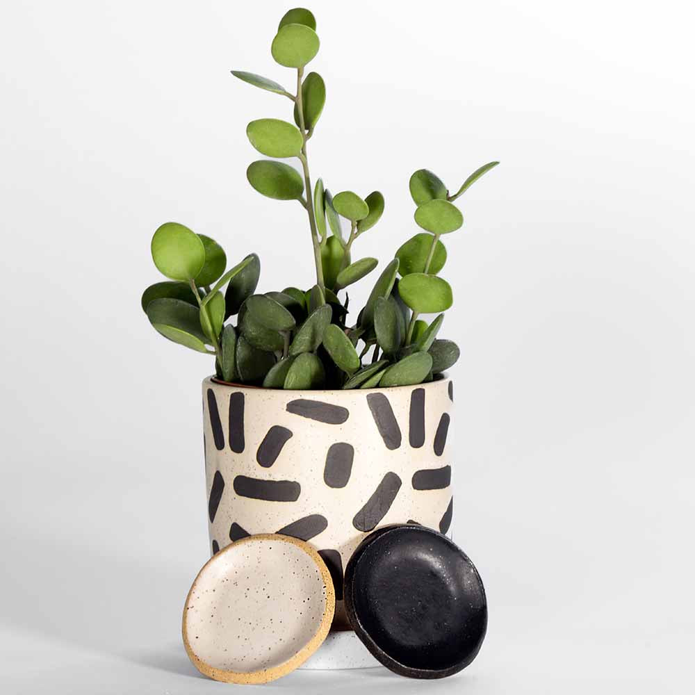 Portable Dual Sage Smudging Kit with Dish